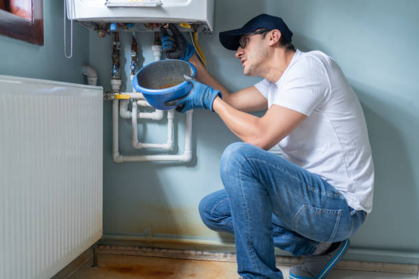 Best Garbage Disposal Repair and Installation  in Cokato, MN